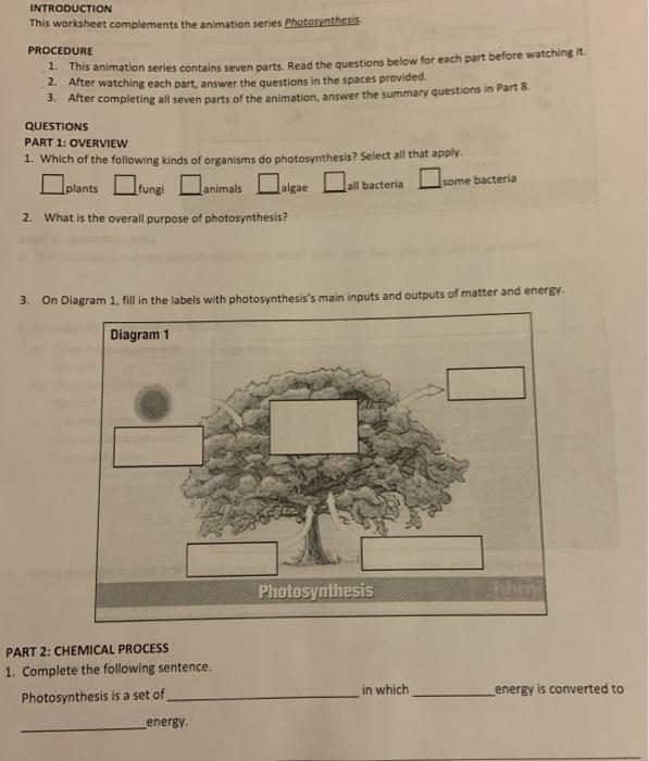 Animation Paper - 1. Overview 