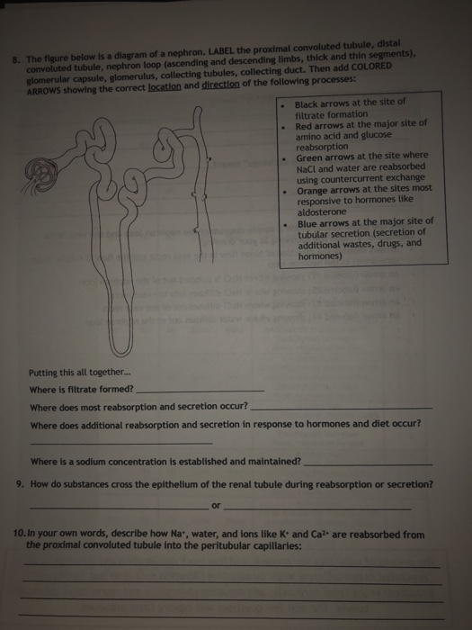Solved 6. What is the difference between filtration,