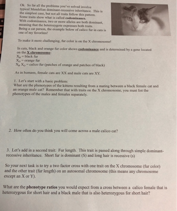 Solved Ok So Far All The Problems You Ve Solved Involve
