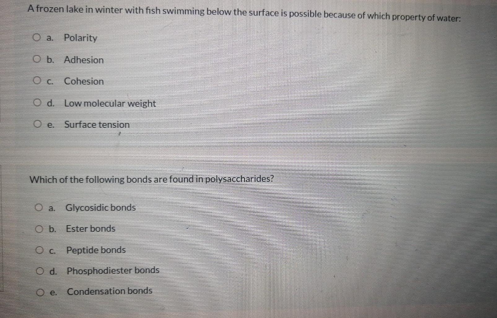 Solved A frozen lake in winter with fish swimming below the