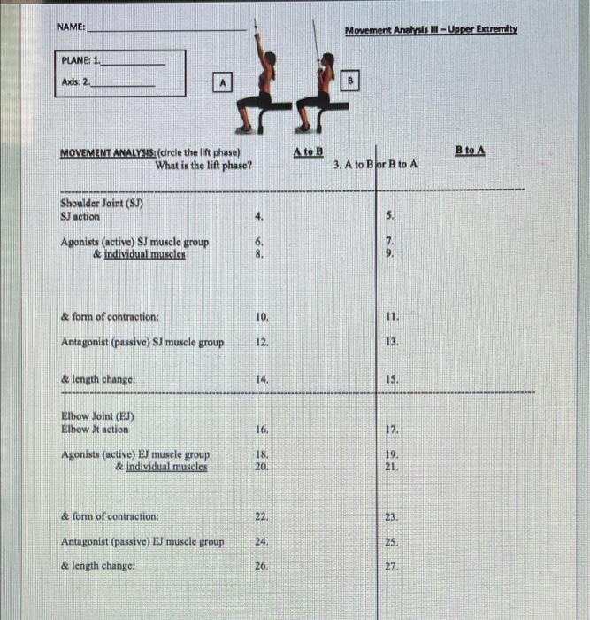 Solved NAME: Movement Analysis II - Upper Extremity PLANE 1 | Chegg.com