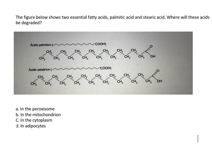 Solved The figure below shows two essential fatty acids,