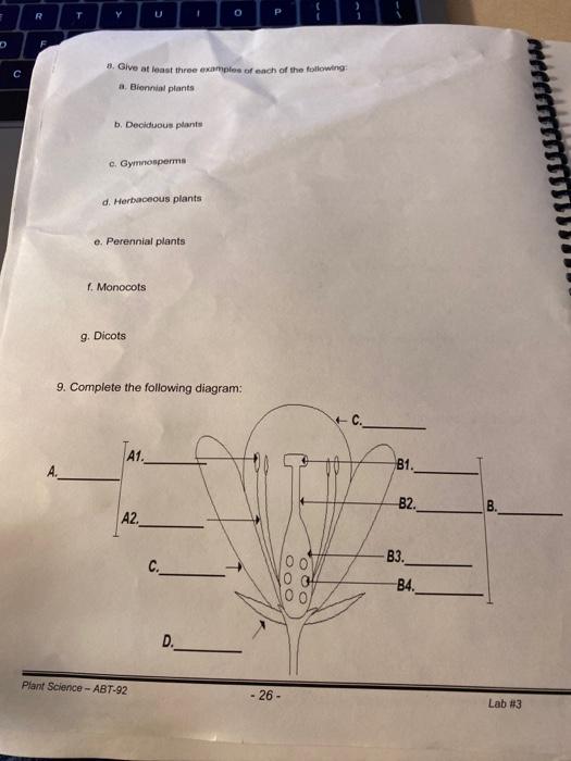 Solved LAB #3, Plant Morphology: Roots and Shoots, Questions | Chegg.com
