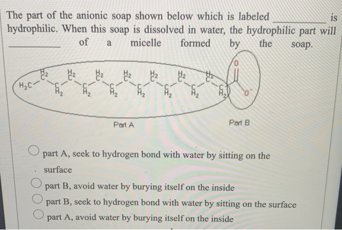 Solved The part of the anionic soap shown below which is | Chegg.com