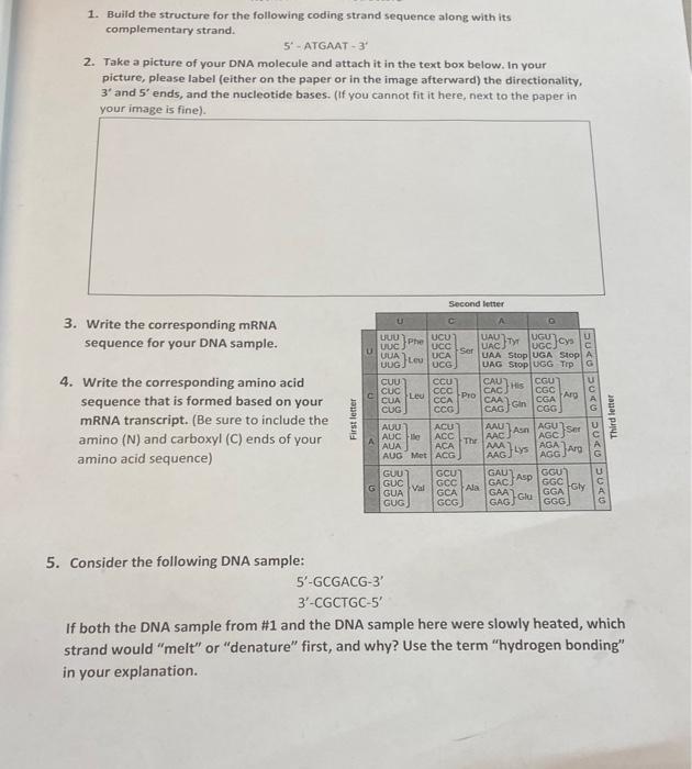 Solved 1. Build the structure for the following coding | Chegg.com