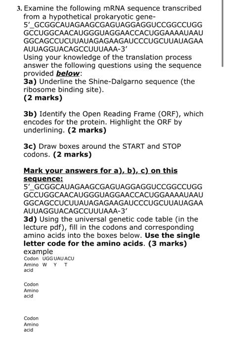 Solved 3. Examine The Following MRNA Sequence Transcribed | Chegg.com