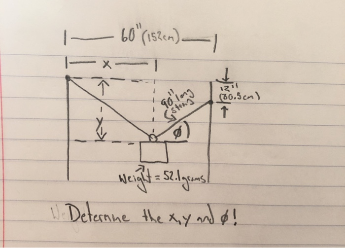 Solved 1 60 152cm 131 30 5cm Weight Selgrams W Chegg Com