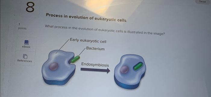Solved Process in evolution of eukaryotic cells What process | Chegg.com