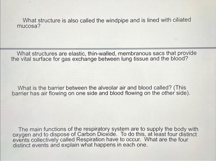 Solved What structure is also called the windpipe and is
