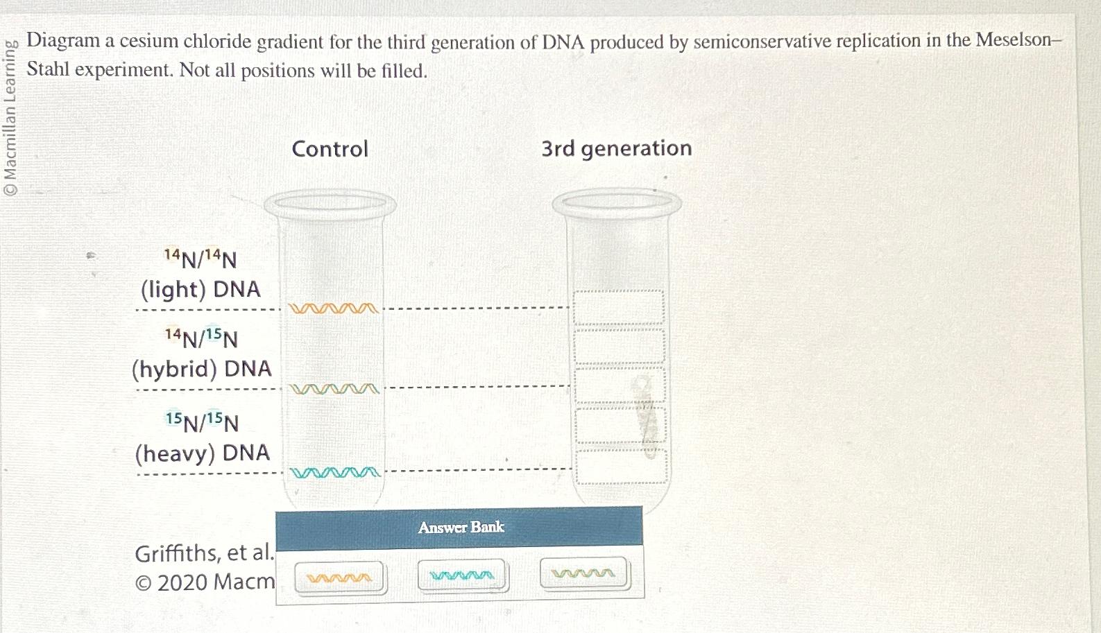 Solved Diagram a cesium chloride gradient for the third