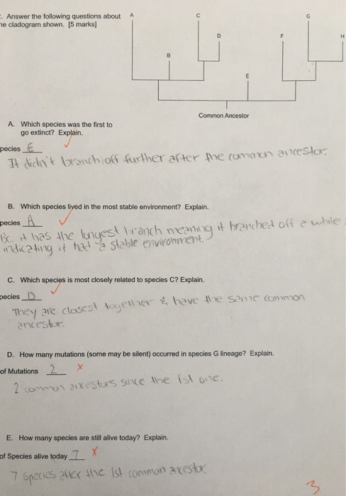 Solved A Answer The Following Questions About He Cladog Chegg Com