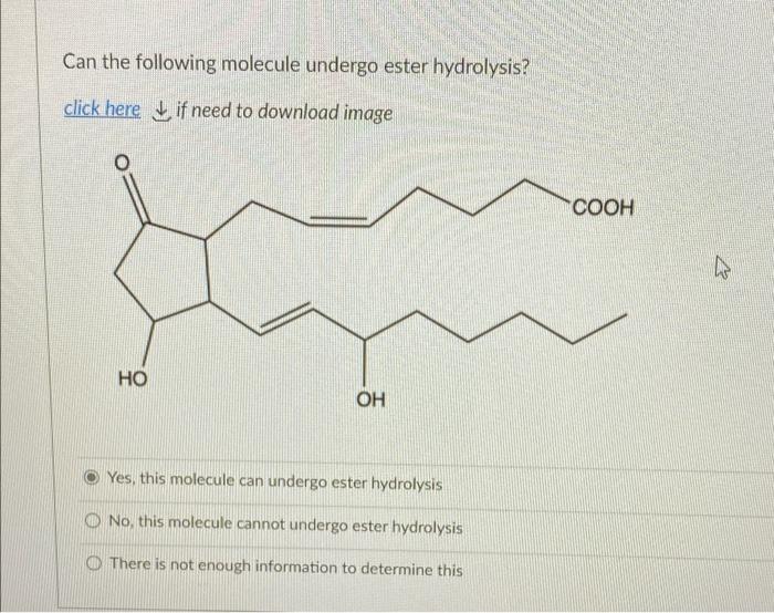 Solved Can The Following Molecule Undergo Ester Hydrolysis 8841