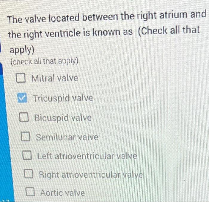 Solved The valve located between the right atrium and the