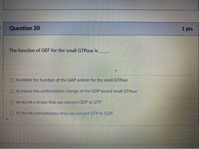 Solved Question 20 1 pts The function of GEF for the small | Chegg.com