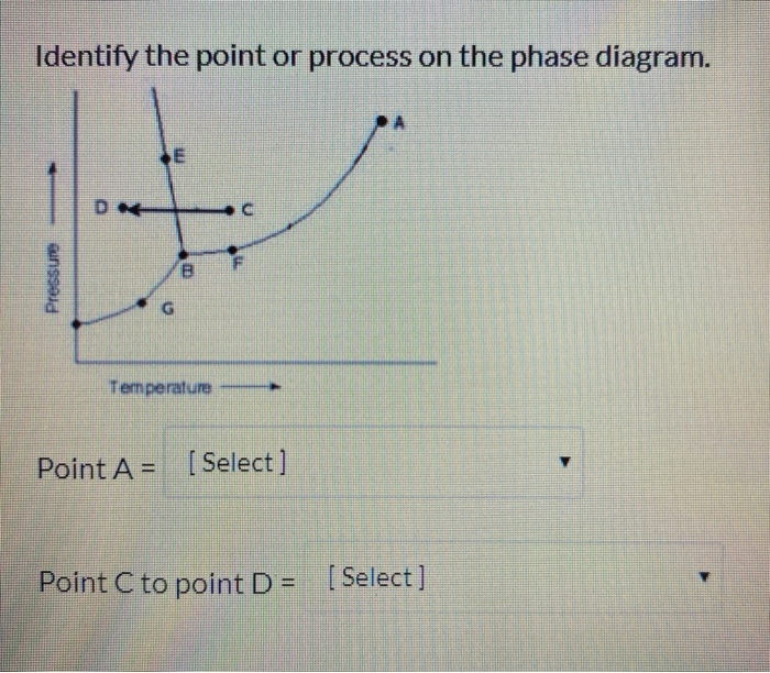 Solved Identify the point or process on the phase diagram. | Chegg.com
