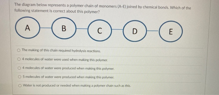 Solved The diagram below represents a polymer chain of | Chegg.com
