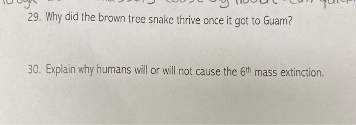 Solved 29 Why Did The Brown Tree Snake Thrive Once It Go