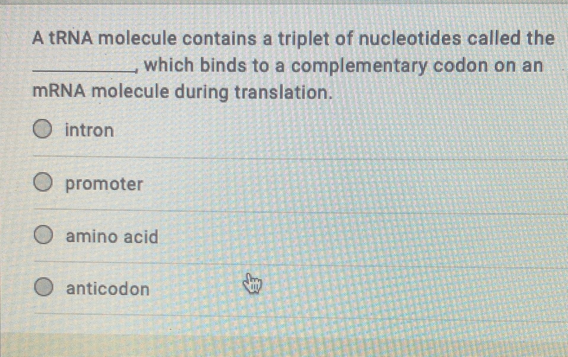 on trna a group of three nucleotides is called what