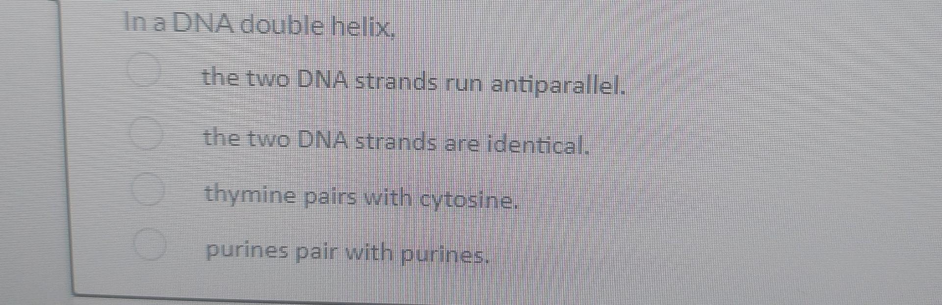Solved In a DNA double helix the two DNA strands run | Chegg.com