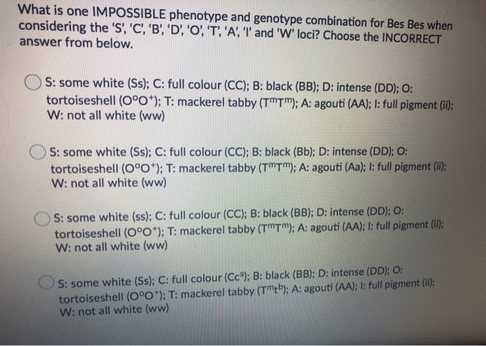 Solved What Is One Impossible Phenotype And Genotype Comb Chegg Com