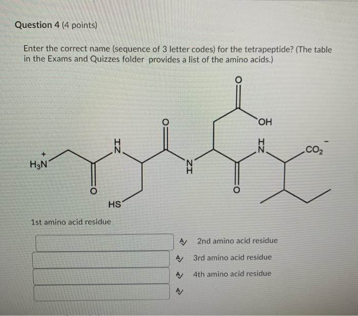 Solved Question 4 4 Points Enter The Correct Name Chegg
