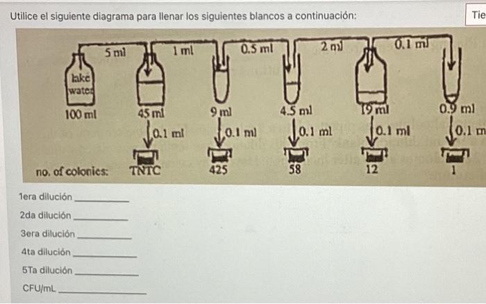 Utilice el siguiente diagrama para llenar los siguientes blancos a continuación: 1era dilución 2 da dilución 3era dilución 4t