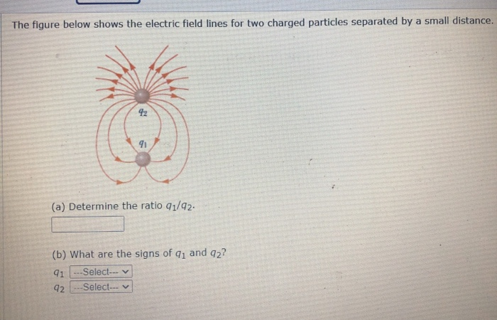 Solved The figure below shows the electric field lines for | Chegg.com