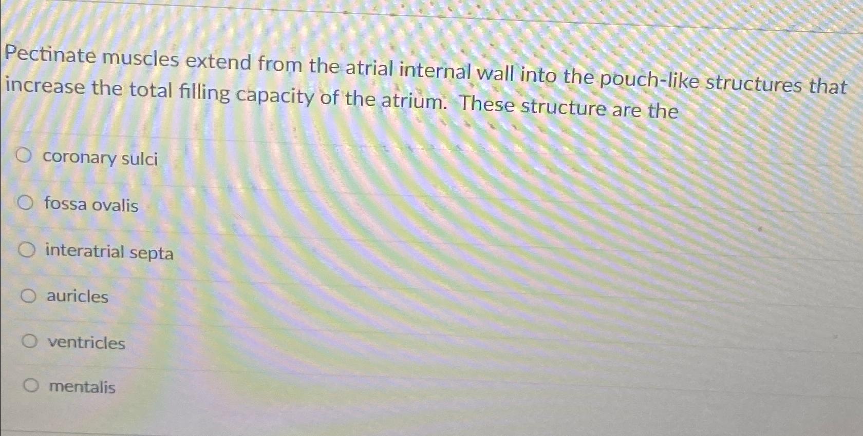 Solved Pectinate muscles extend from the atrial internal