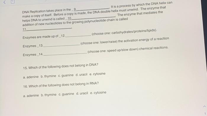 Solved DNA Replication takes place in the 9 It is a process | Chegg.com