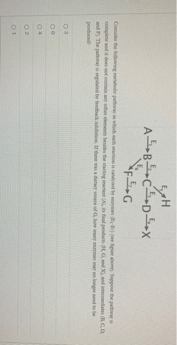 Solved What Pair Of Groups From Non Adjacent Amino Acids Chegg Com