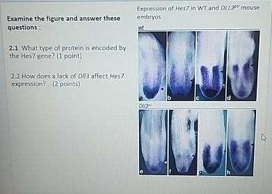 Solved Examine the figure and answer these questions:2.1 | Chegg.com