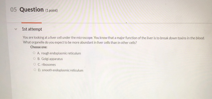Solved 05 Question (1 point) 1st attempt You are looking at | Chegg.com