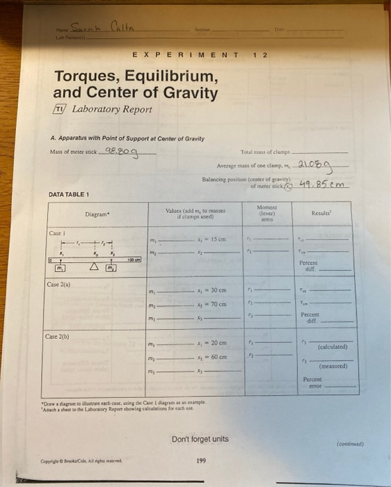 balanced torques and center of gravity lab report