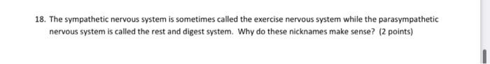 Solved 18. The sympathetic nervous system is sometimes | Chegg.com