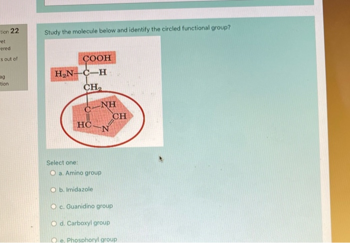Solved tion 22 Study the molecule below and identify the | Chegg.com