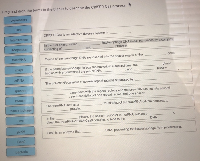 Solved Place the steps in the process of targeting a protein | Chegg.com
