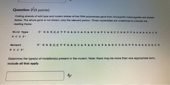 Solved Question 243 points) Coding strands of wild type and | Chegg.com