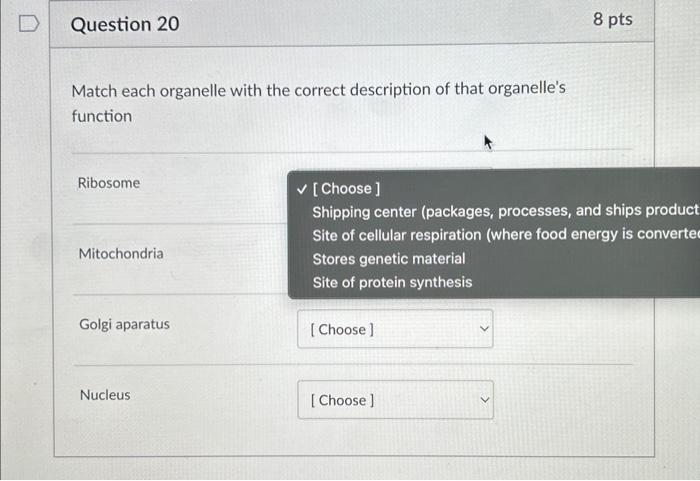 Solved Match each organelle with the correct description of | Chegg.com