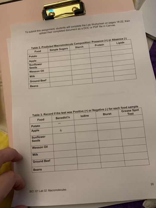 ️Introduction To Macromolecules Worksheet Free Download Gmbar.co
