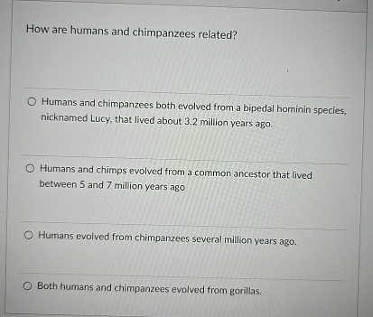 Solved How Are Humans And Chimpanzees Related Humans And Chegg Solved How Are Humans And Chimpanzees Related Humans And Chegg