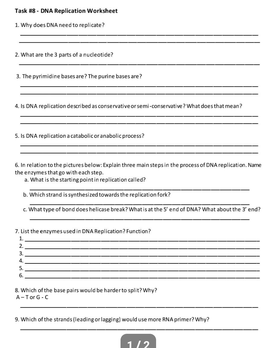 Solved Task #221 - DNA Replication Worksheet 21. Why does DNA  Chegg.com Pertaining To Dna Replication Worksheet Answer Key