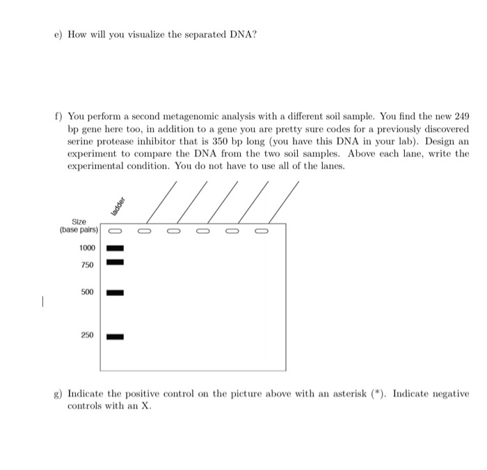 Solved 1. The Following DNA Sequence Was Discovered In A | Chegg.com