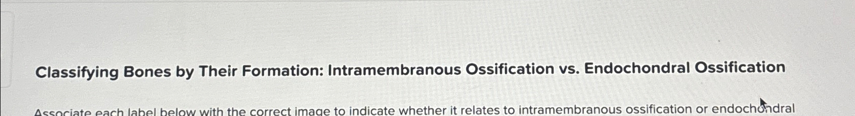 Solved Classifying Bones by Their Formation: Intramembranous | Chegg.com