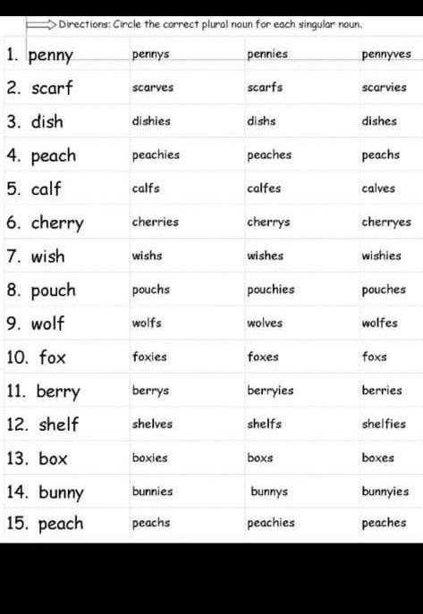 Solved Directions Circle The Correct Plural Noun For Each Chegg Com