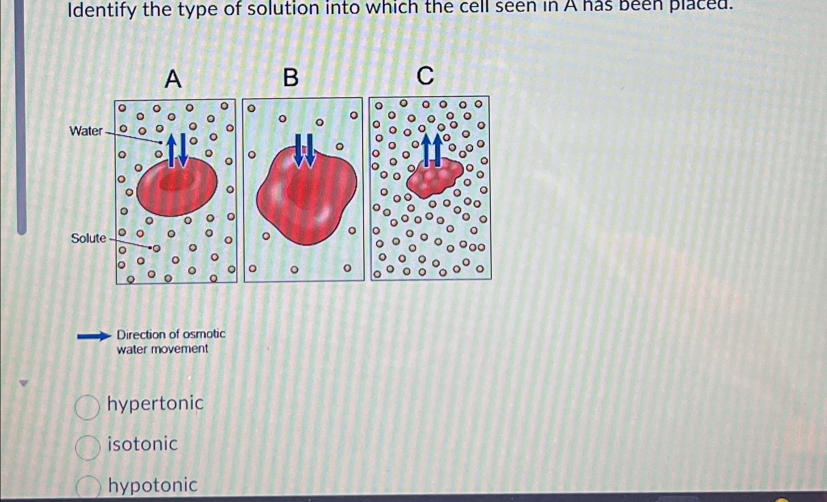 Solved Identify the type of solution into which the cell | Chegg.com