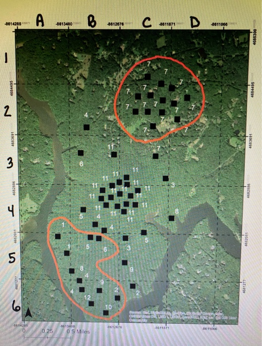 Solved Field Collections of Leaves, Species Identification, | Chegg.com