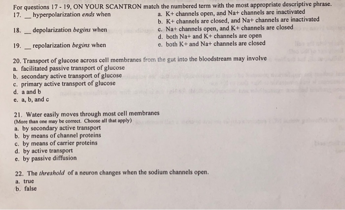 Solved For questions 17-19, ON YOUR SCANTRON match the | Chegg.com