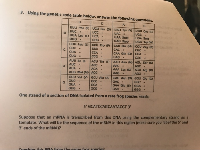 Solved 3. Using the genetic code table below, answer the | Chegg.com