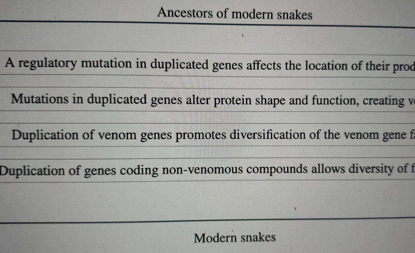 Ancestors of modern snakes A regulatory mutation in | Chegg.com