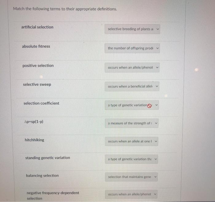 Match the following terms to their appropriate | Chegg.com
